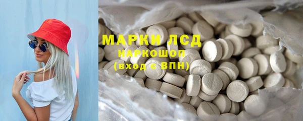 apvp Богданович