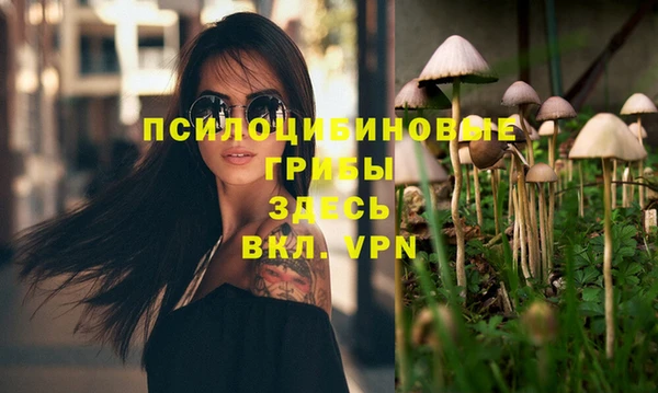 apvp Богданович
