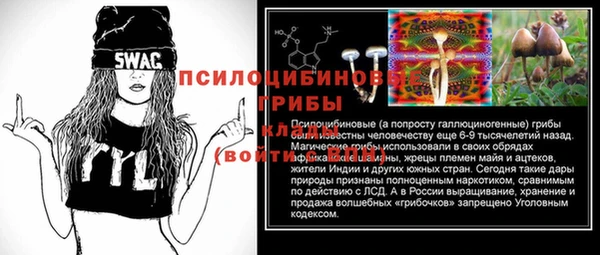 apvp Богданович
